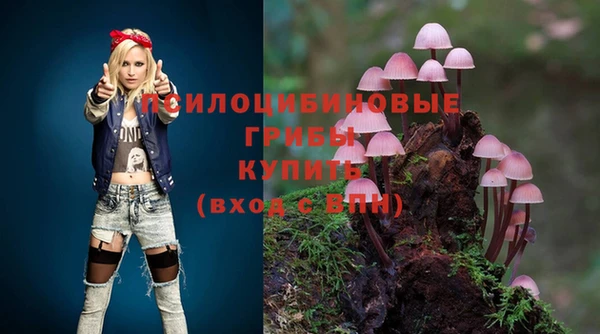 apvp Липки