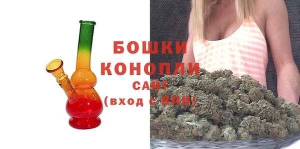 индика Лиски